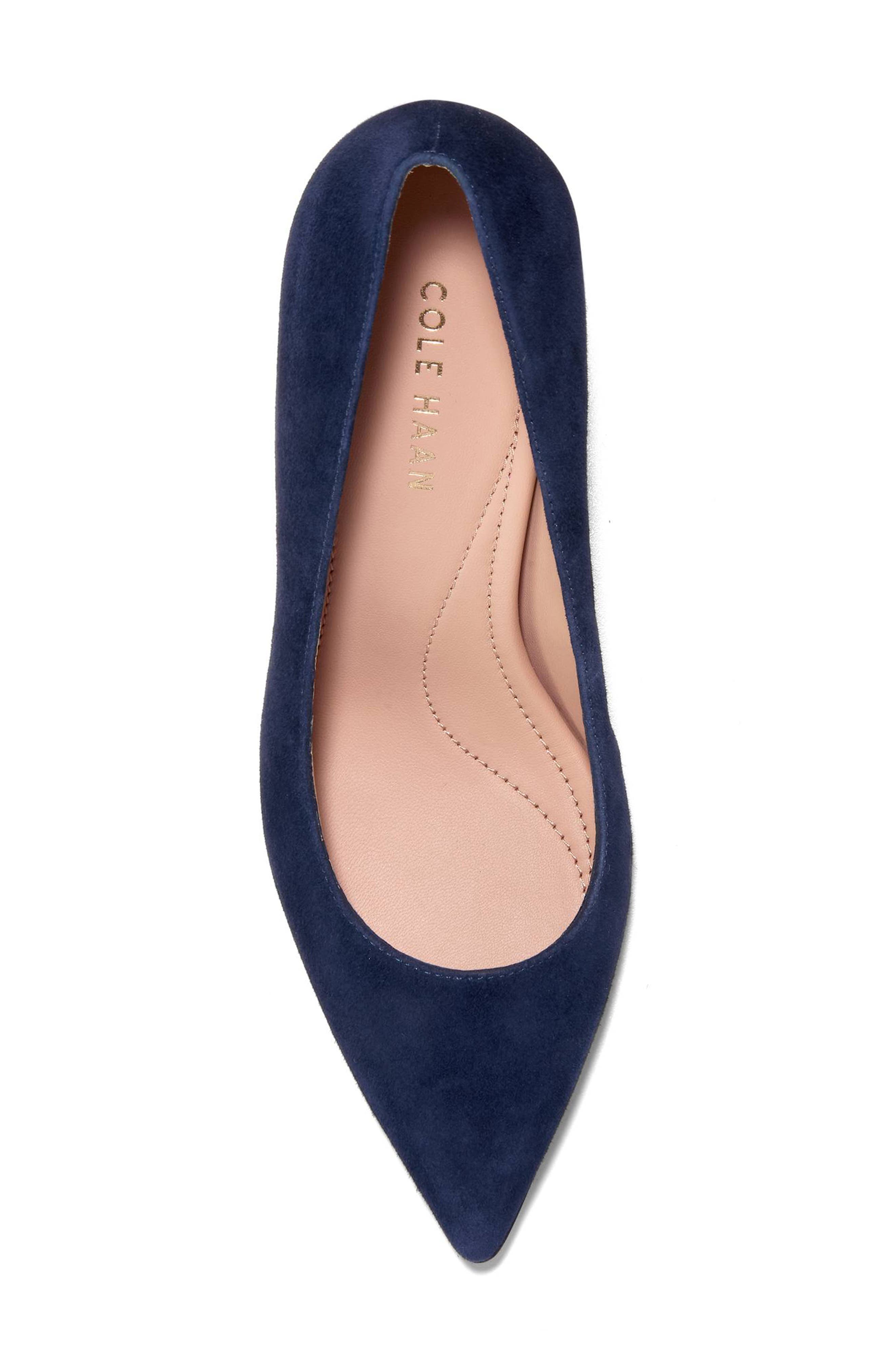 Cole Haan Grand Ambition Angelica Pointed Toe Pump, Alternate, color, Midnight Moon Suede