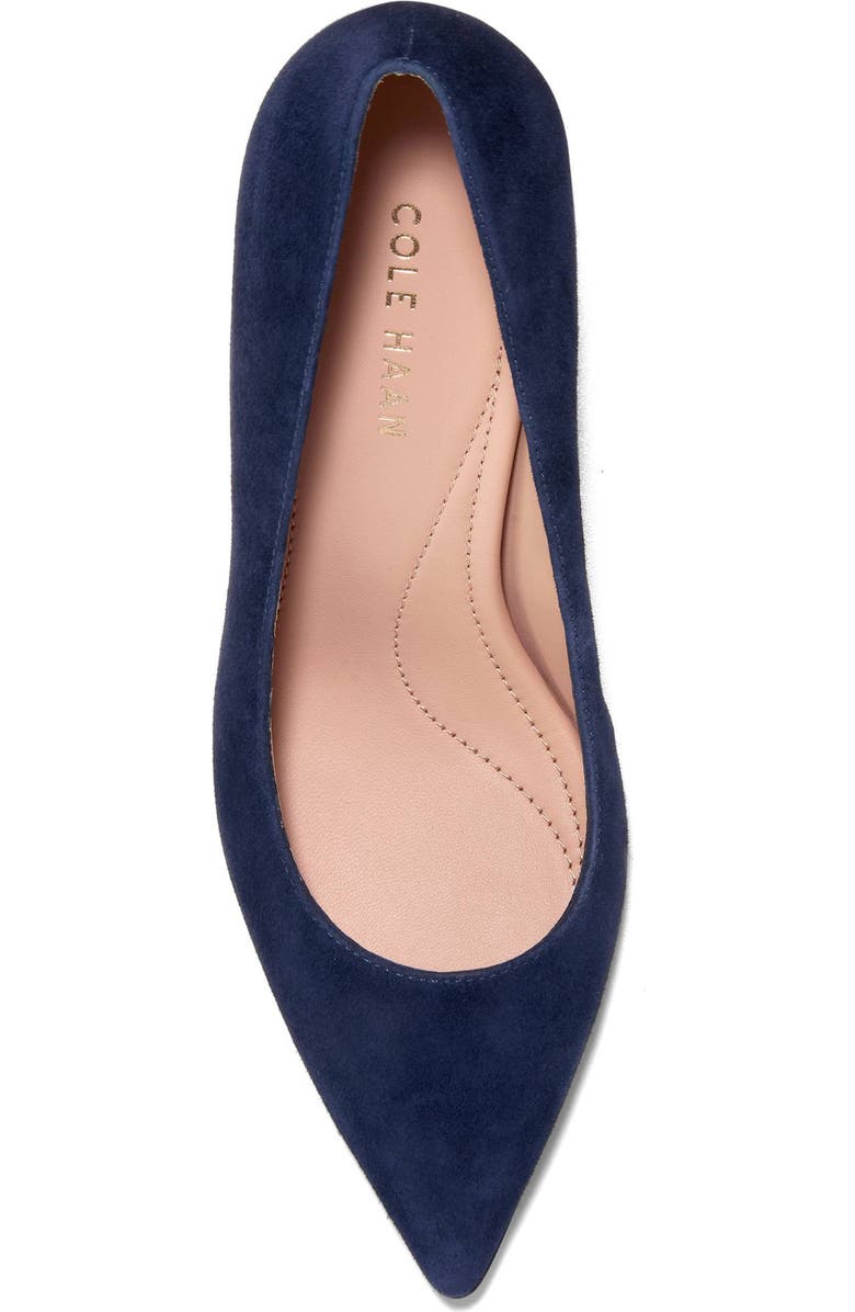 Cole Haan Grand Ambition Angelica Pointed Toe Pump, Alternate, color, Midnight Moon Suede
