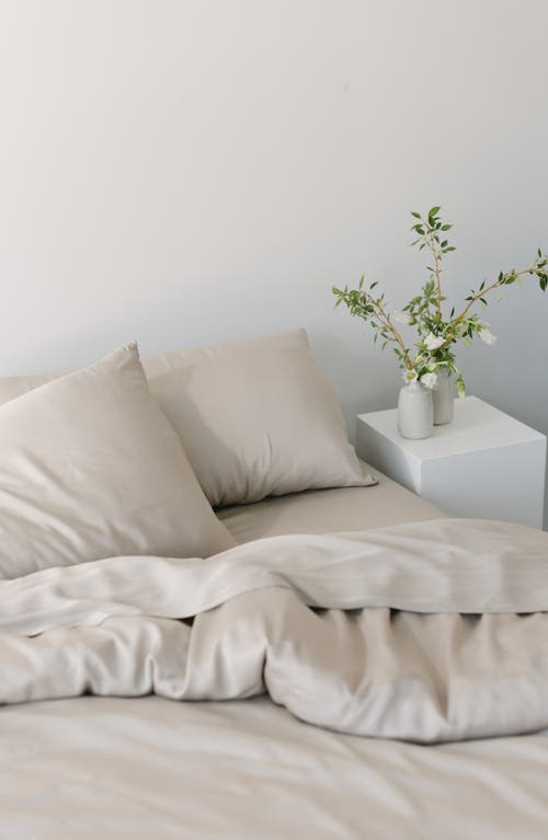 Cozy Earth Set Of 2 Wrinkle Resistant Pillowcases In Driftwood