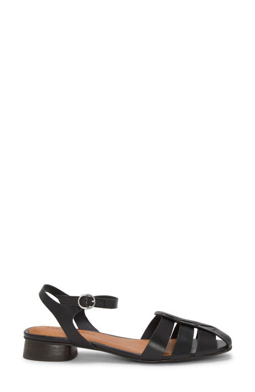 Shop Lucky Brand Zilma Ankle Strap Fishmerman Sandal In Black