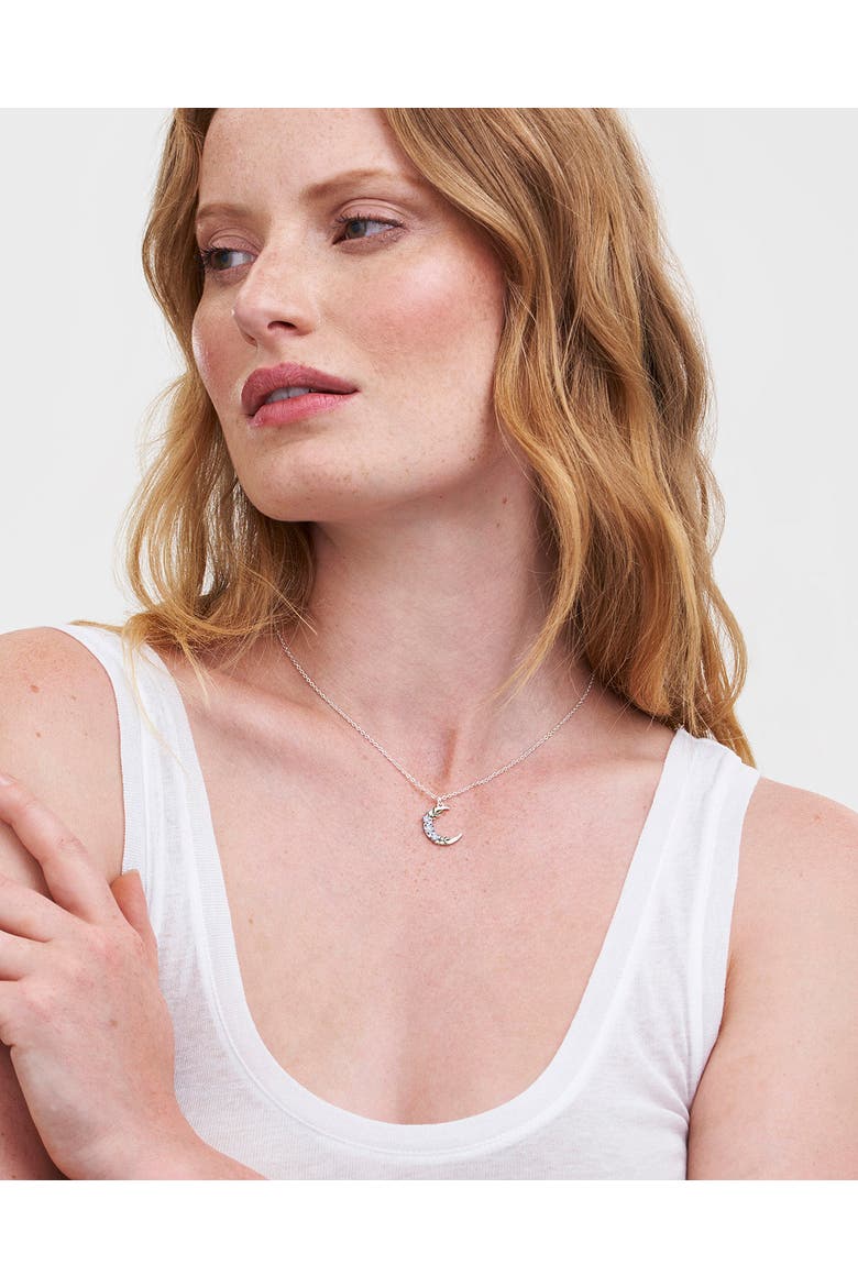 Nightshade Moon Silver Chain Necklace, Alternate, color, Silver