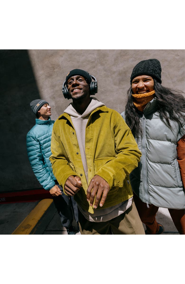 Turtle Fur Zelda Beanie, Alternate, color, Silver