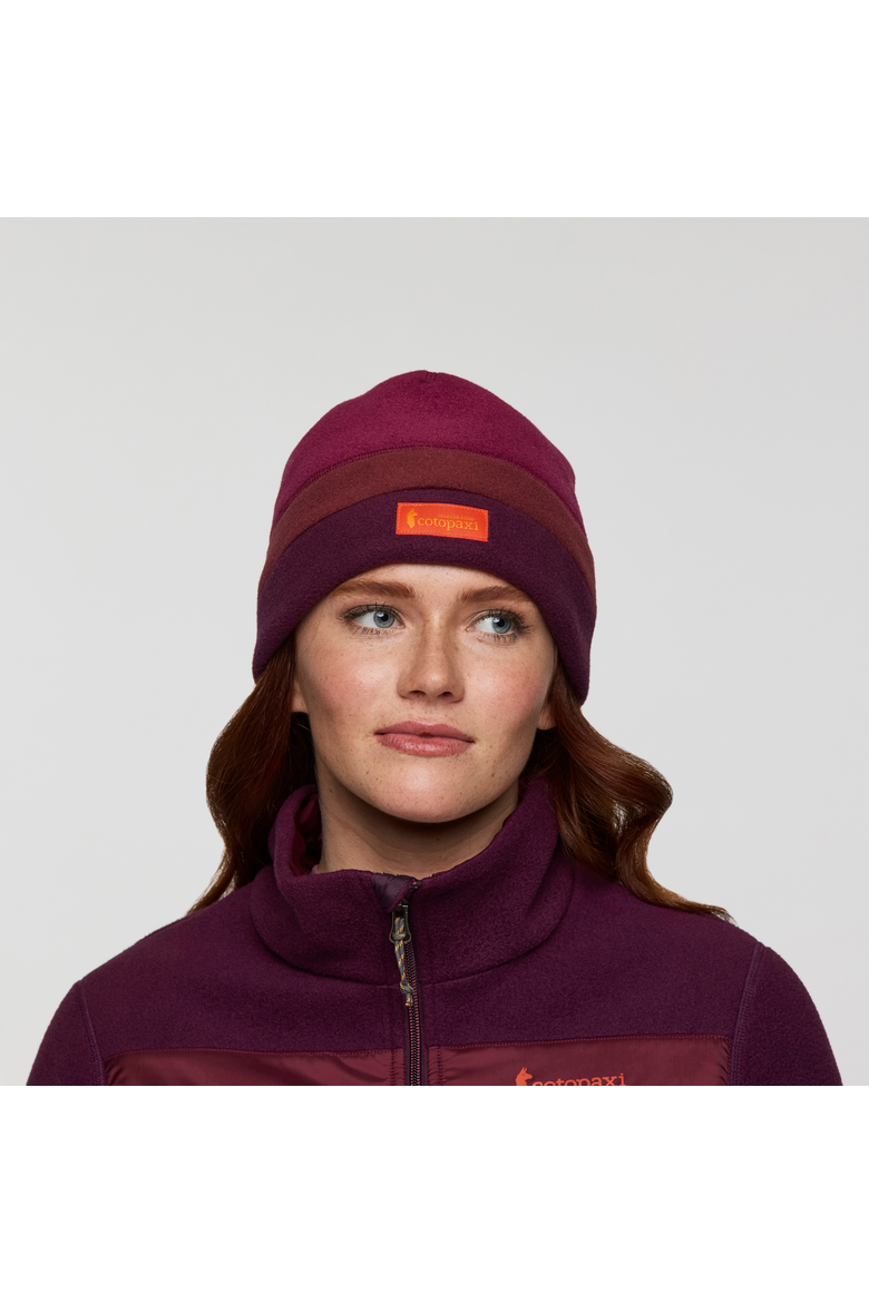 Teca Fleece Beanie, Alternate, color, Nutmeg Stripes