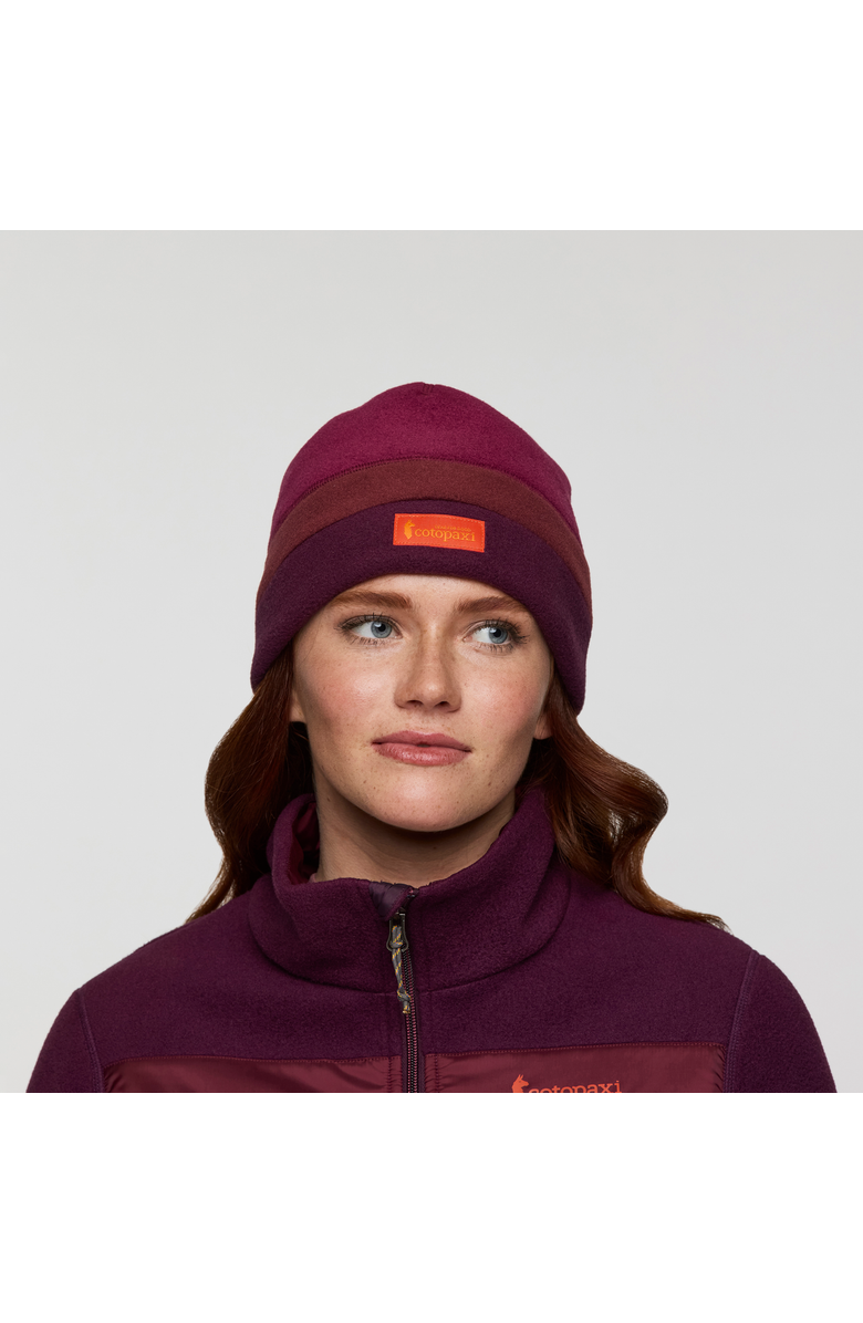 Cotopaxi Teca Fleece Beanie, Alternate, color, Nutmeg Stripes