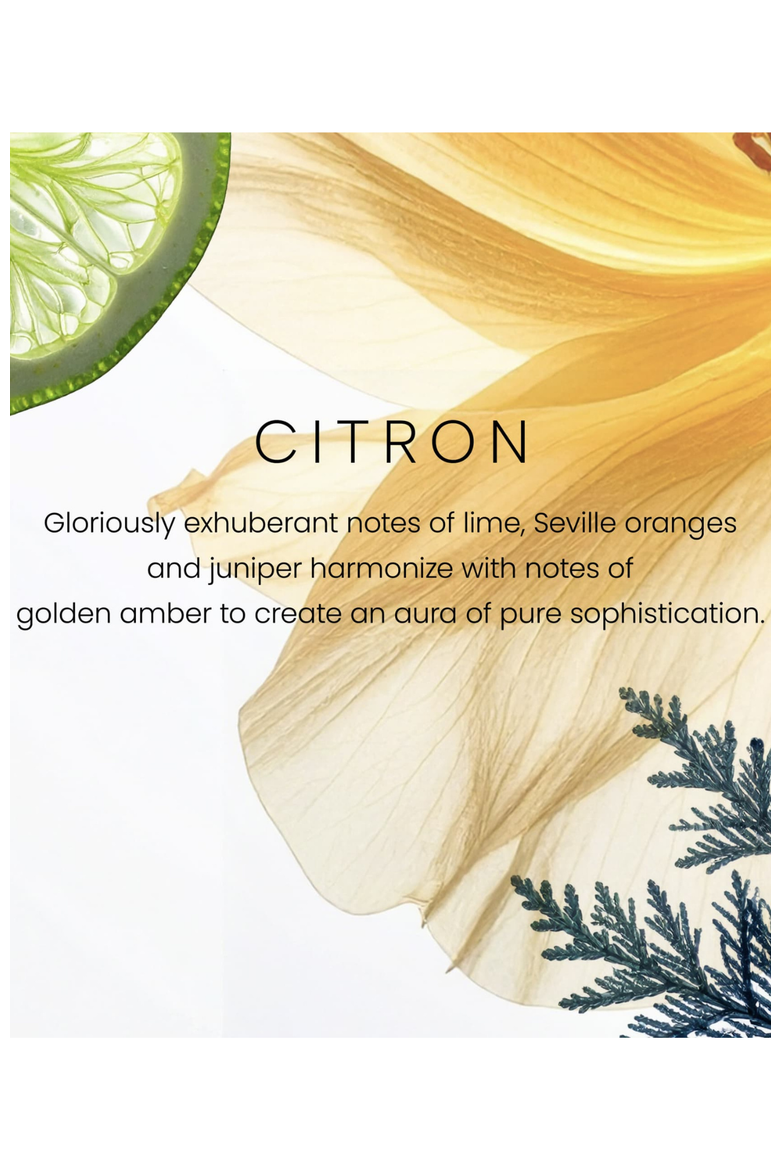 Citron Premium Small Jar Candle, Alternate, color, White