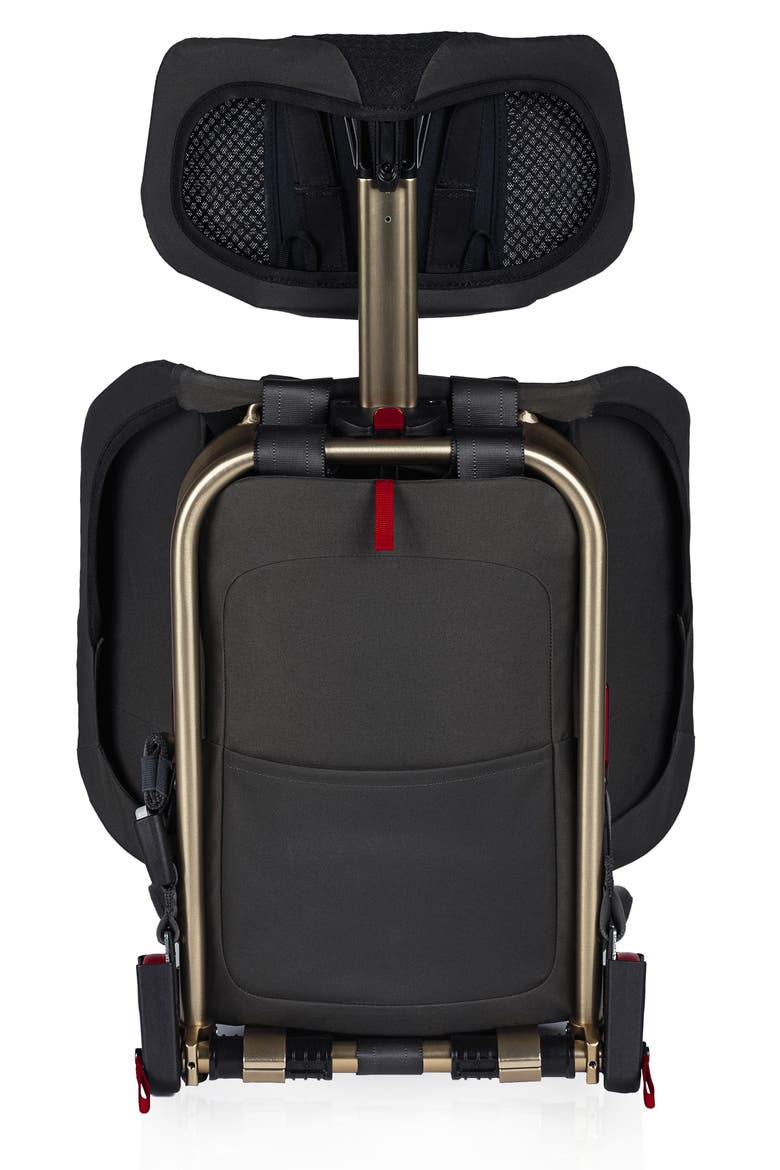 Pico Forward Facing Car Seat, Alternate, color, EARTH
