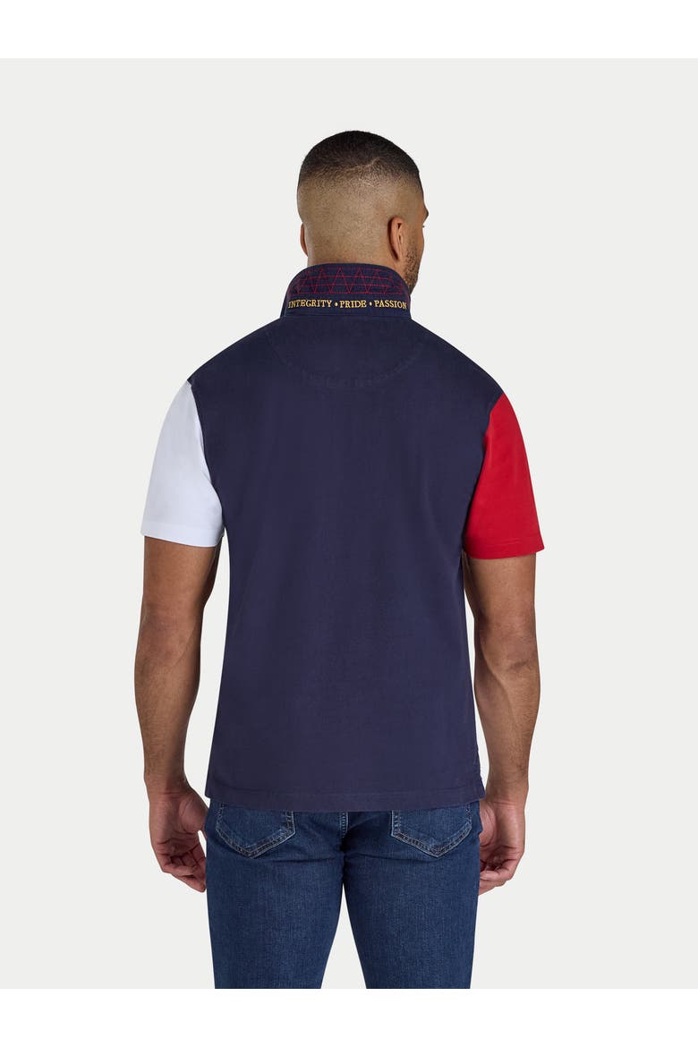 Diagonal Panel Rugby Shirt, Alternate, color, Navy