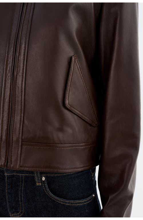 Lamarque Tess | Leather Jacket In Brown