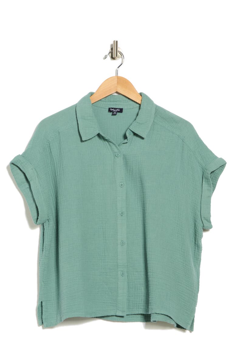 Splendid Cotton Gauze Button-Up Shirt, Alternate, color, Lagoon