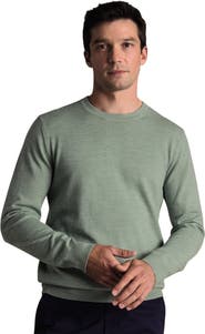 Charles Tyrwhitt Pure Merino Crew Neck Sweater
