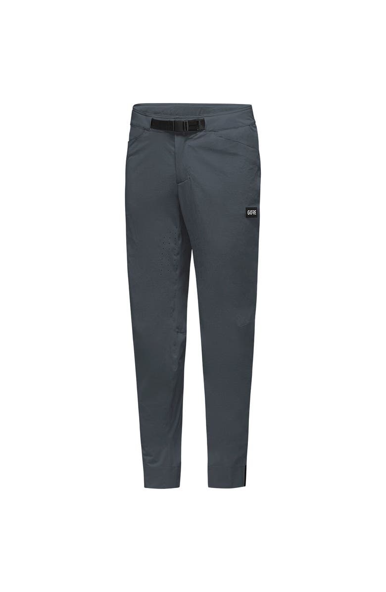 GOREWEAR Passion Pant - Men's, Alternate, color, Lab Graphite