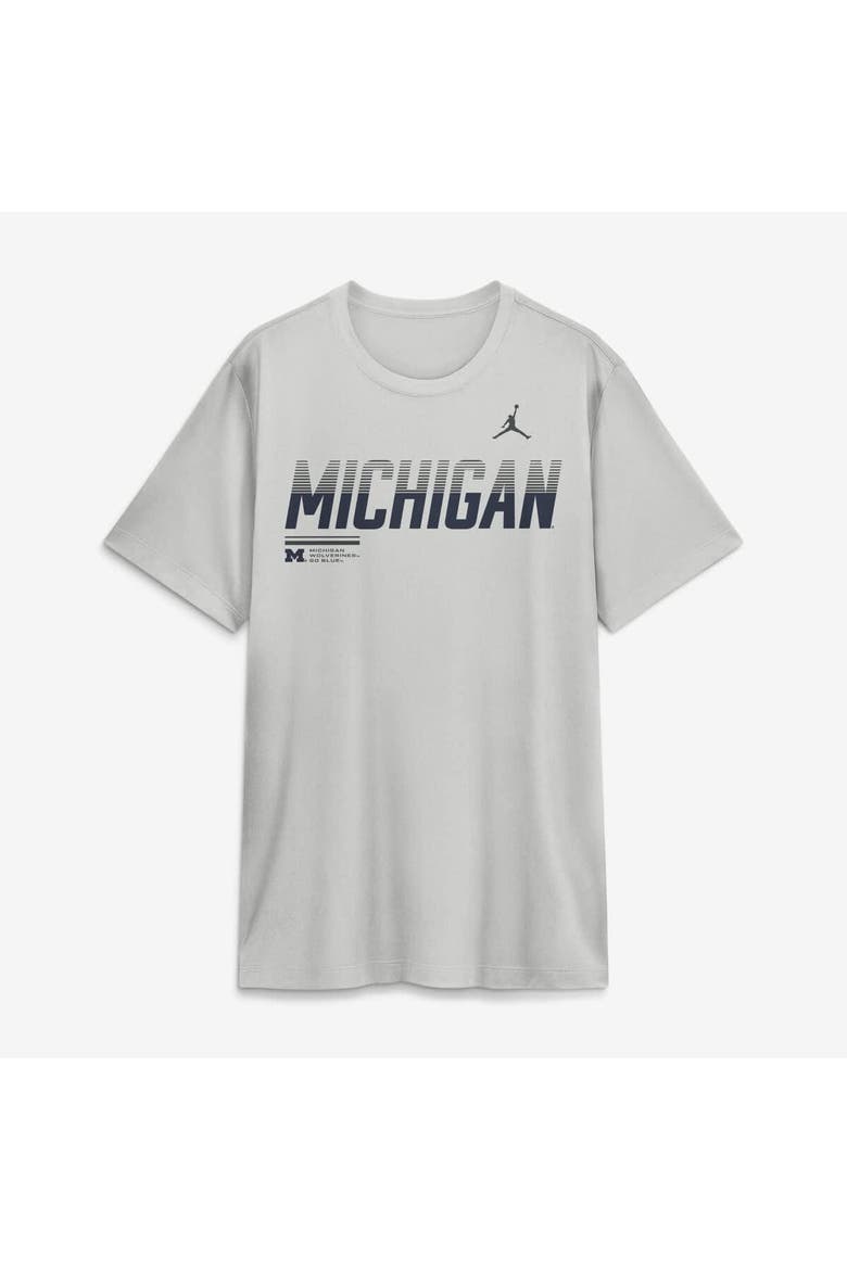 Men's Jordan Brand Gray Michigan Wolverines Sideline Legend Dri-FIT T-Shirt, Alternate, color, Gray