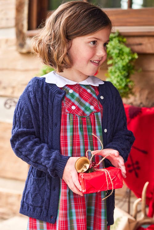 Little English Kids' Fallon Dress In Highlands Tartan