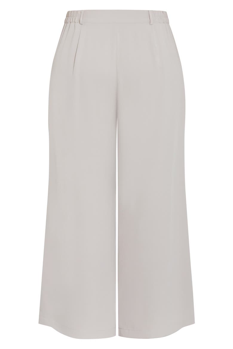 Jordan Wide Leg Pleated Pants, Alternate, color, NEUTRAL
