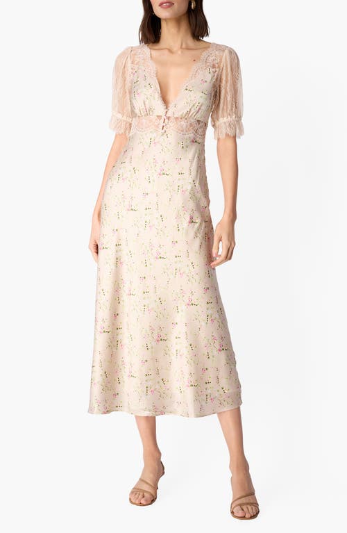 CAMI NYC Dinah Floral Lace Silk Midi Dress in English Cottage/oat at Nordstrom, Size X-Large