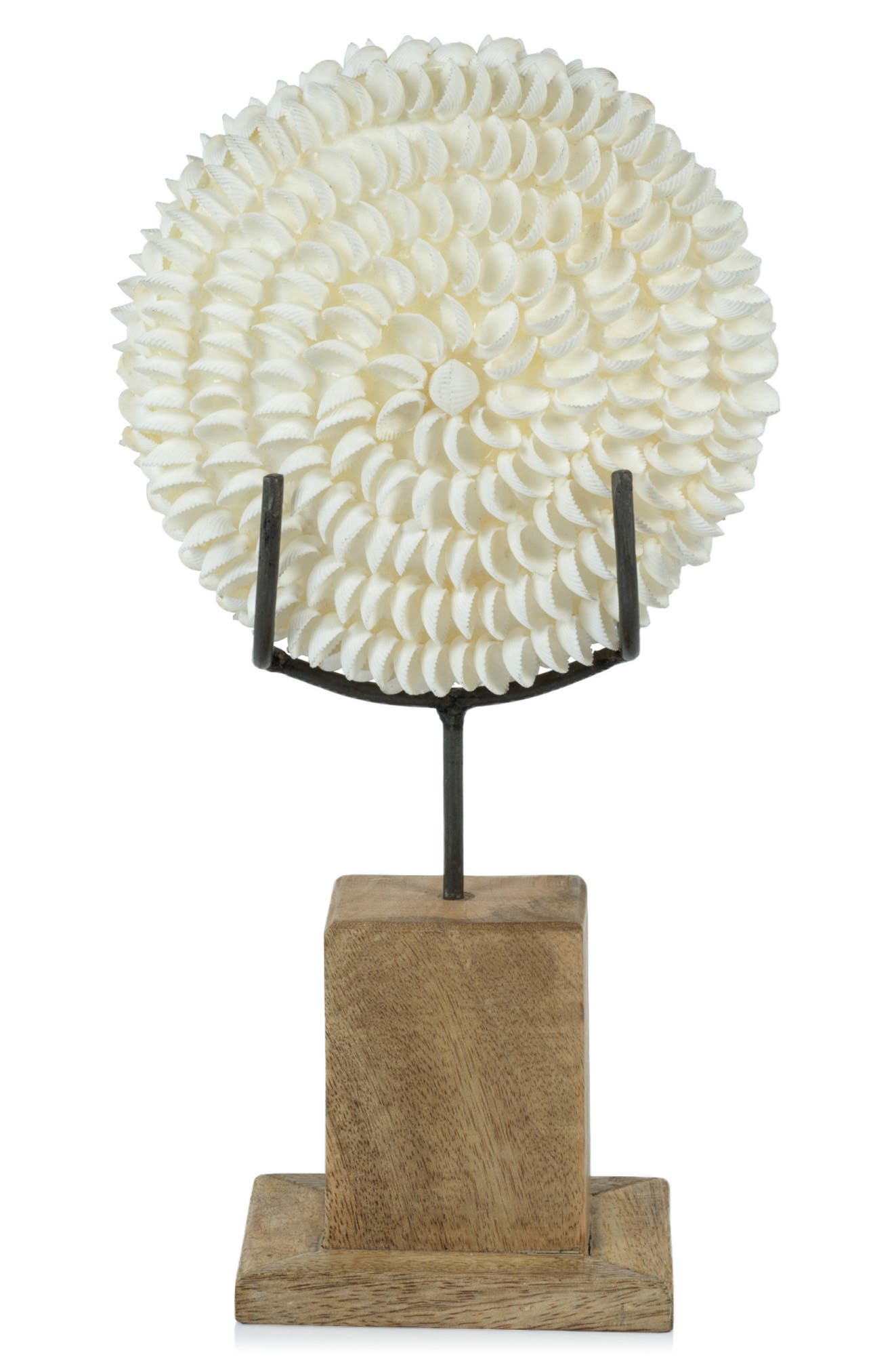 Zodax Clamrose Seashells on Wooden Stand