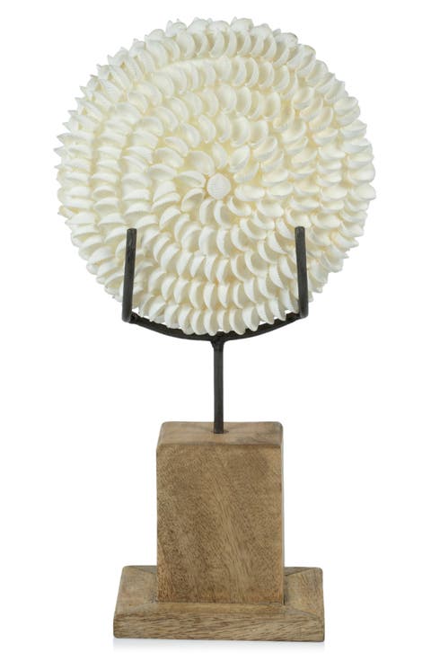 Clamrose Seashells on Wooden Stand