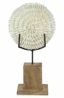 Clamrose Seashells on Wooden Stand