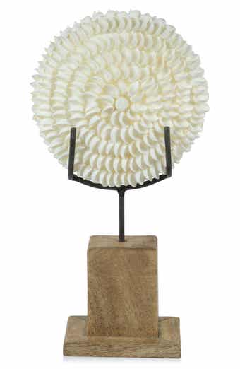 Clamrose Seashells on Wooden Stand