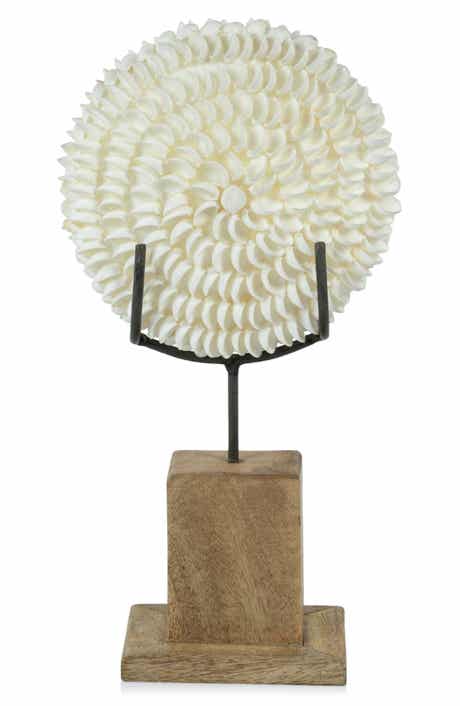 Zodax Clamrose Seashells on Wooden Stand