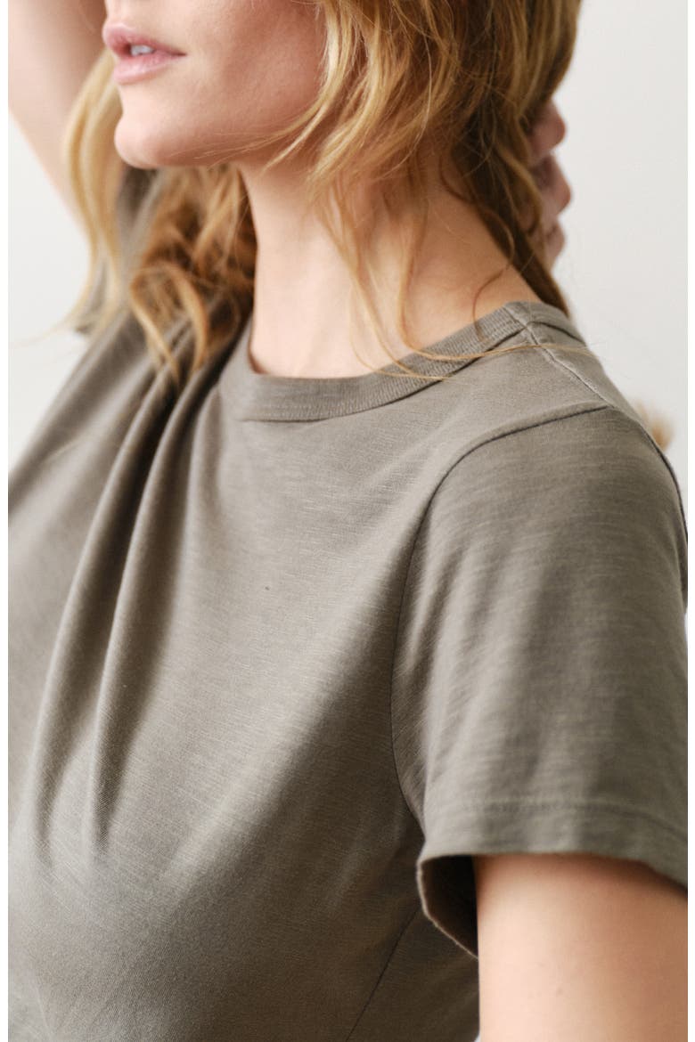 Tried & True Crewneck T-Shirt, Alternate, color, FADED OLIVE