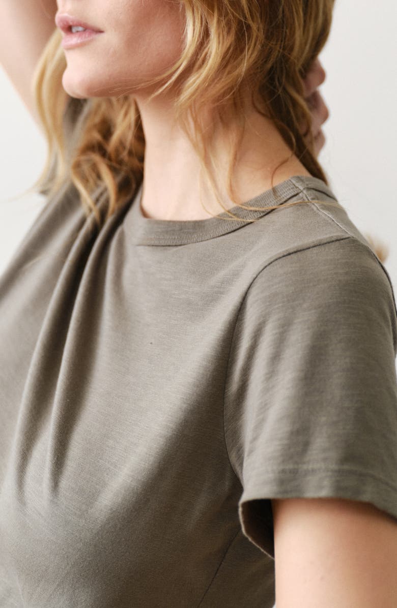 Marine Layer Tried & True Crewneck T-Shirt, Alternate, color, Faded Olive