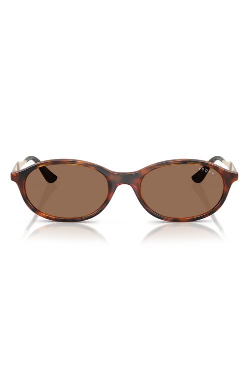 Vogue 52mm Oval Sunglasses In Dark Havana
