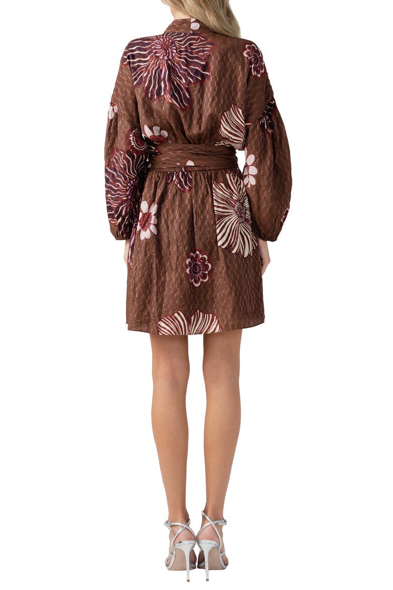 Sonya Long Sleeve Tie Waist Dress, Alternate, color, BROWN MULTI