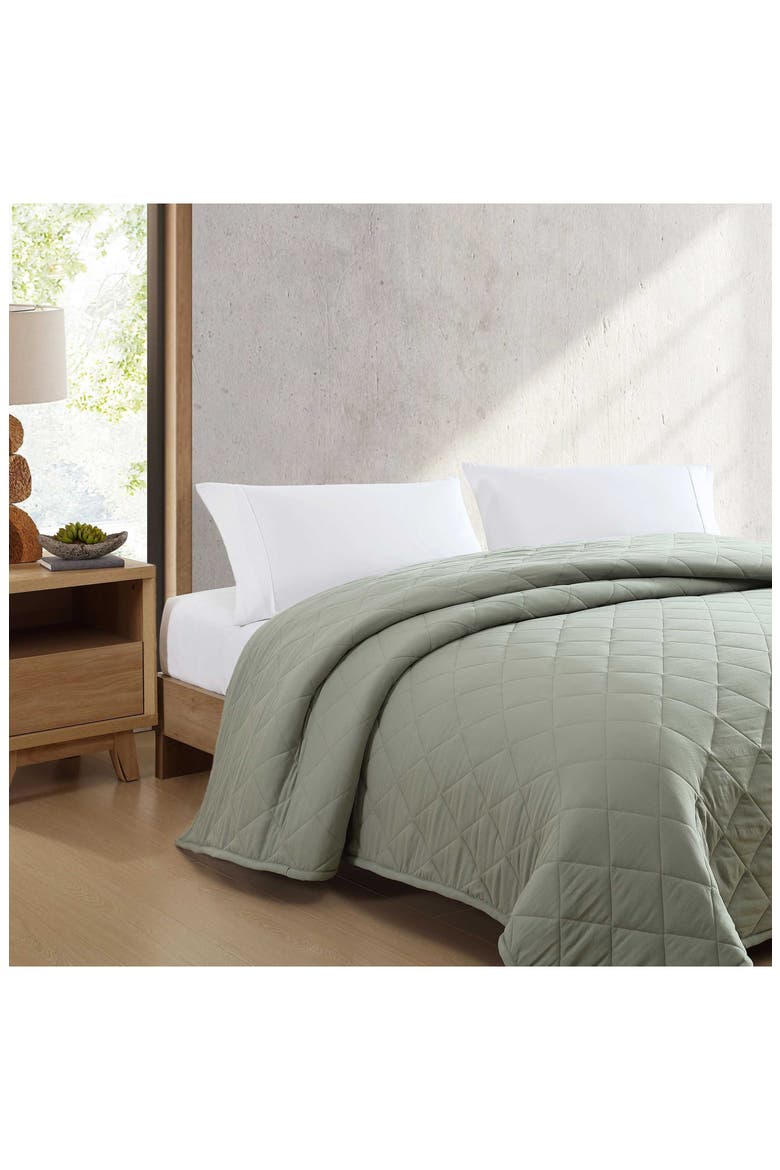 Classic Soft Solid Blanket, Alternate, color, GREEN