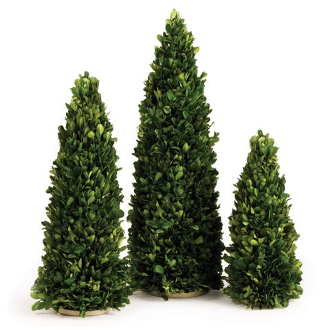 Boxwood Mini Trees Set of 3