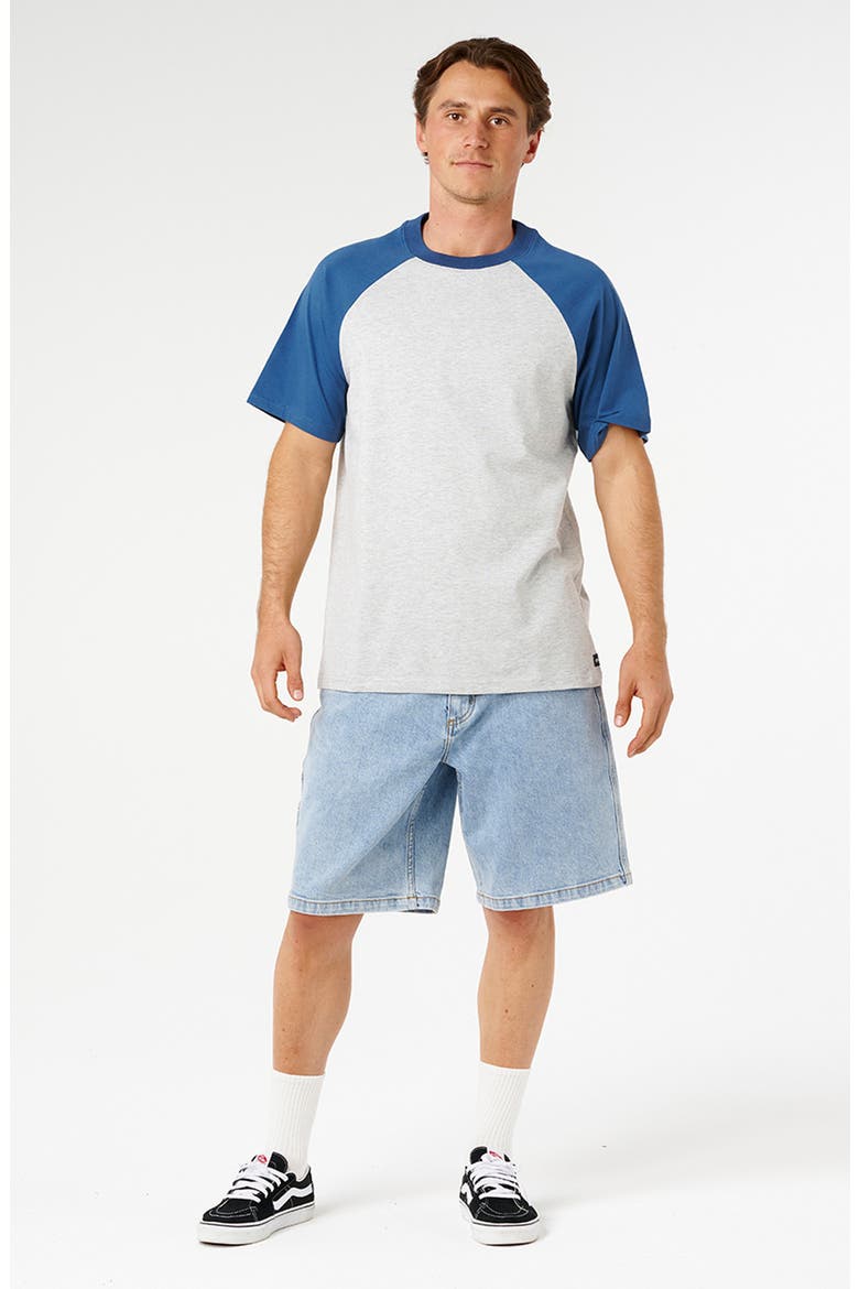 Classic Colorblock Raglan Sleeve Cotton T-Shirt, Alternate, color, GREY MARLE