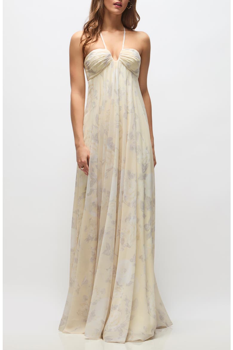 Lilith Floral Chiffon Gown, Main, color, BUTTER YELLOW FLORAL