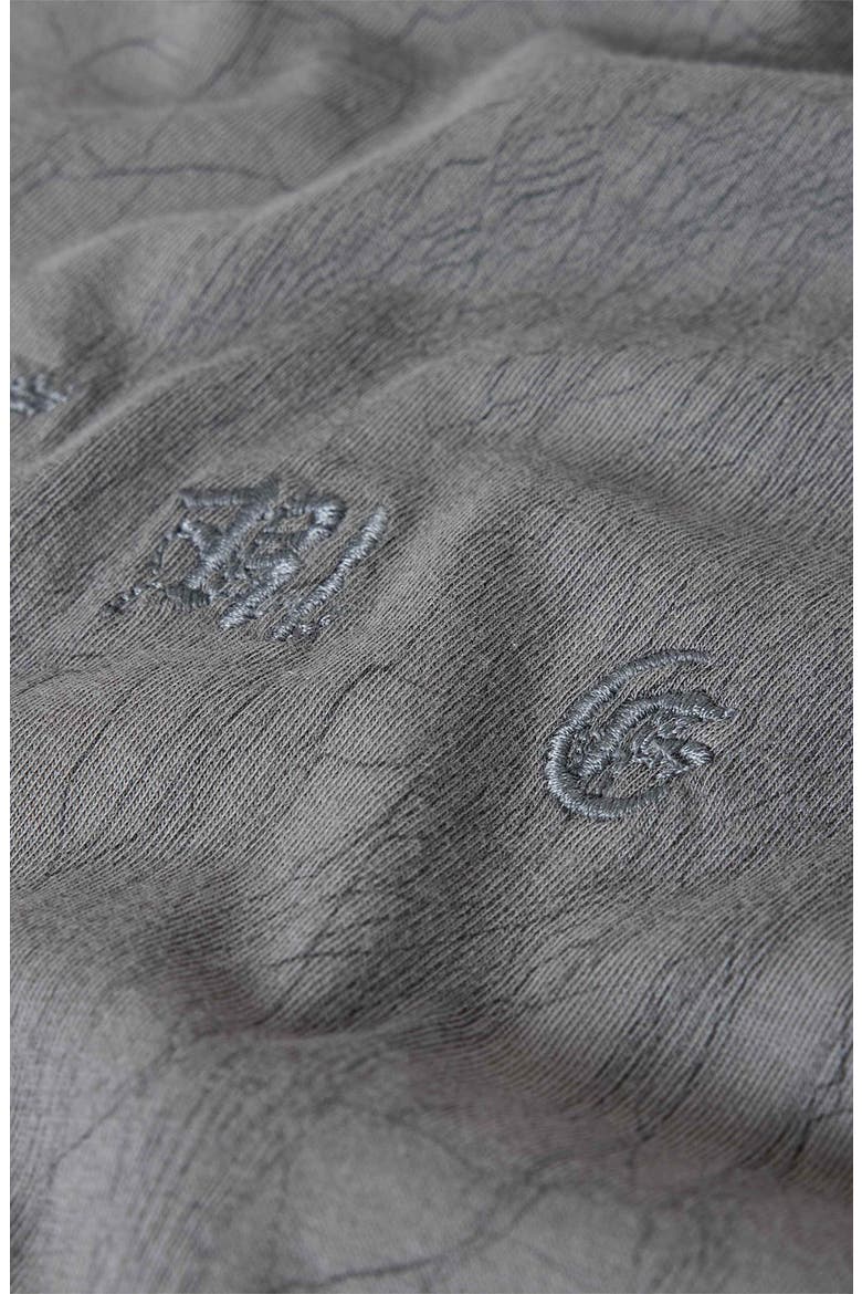Raw Edge Graphic T-Shirt, Alternate, color, FLAGSTONE GREY