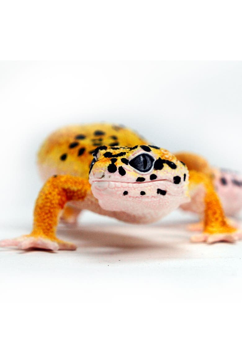 Leopard Gecko Toy, Alternate, color, No Color