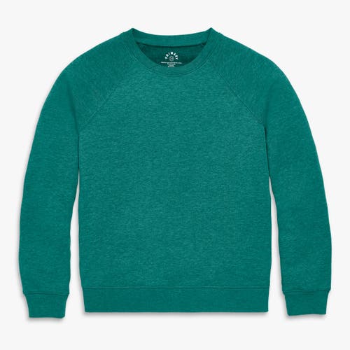 Primary Adult Cozy Fleece Sweatshirt In Green