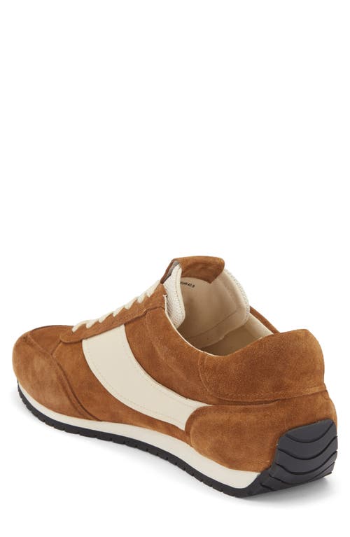 Vince Ocean Sneaker In Brown