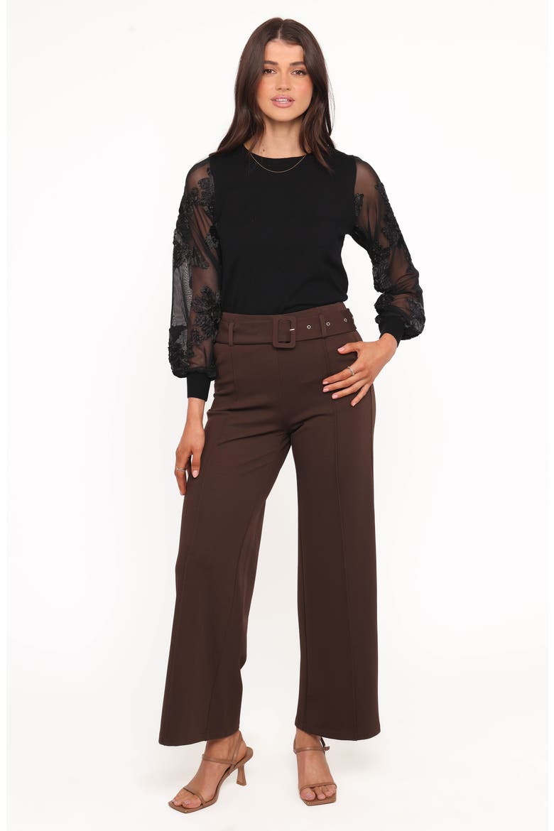 Benton Belted Wide Leg Pants, Alternate, color, BROWN