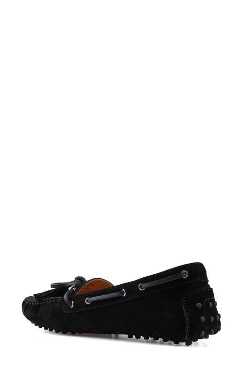 National Comfort Shyanne Suede Loafer In Black Suede