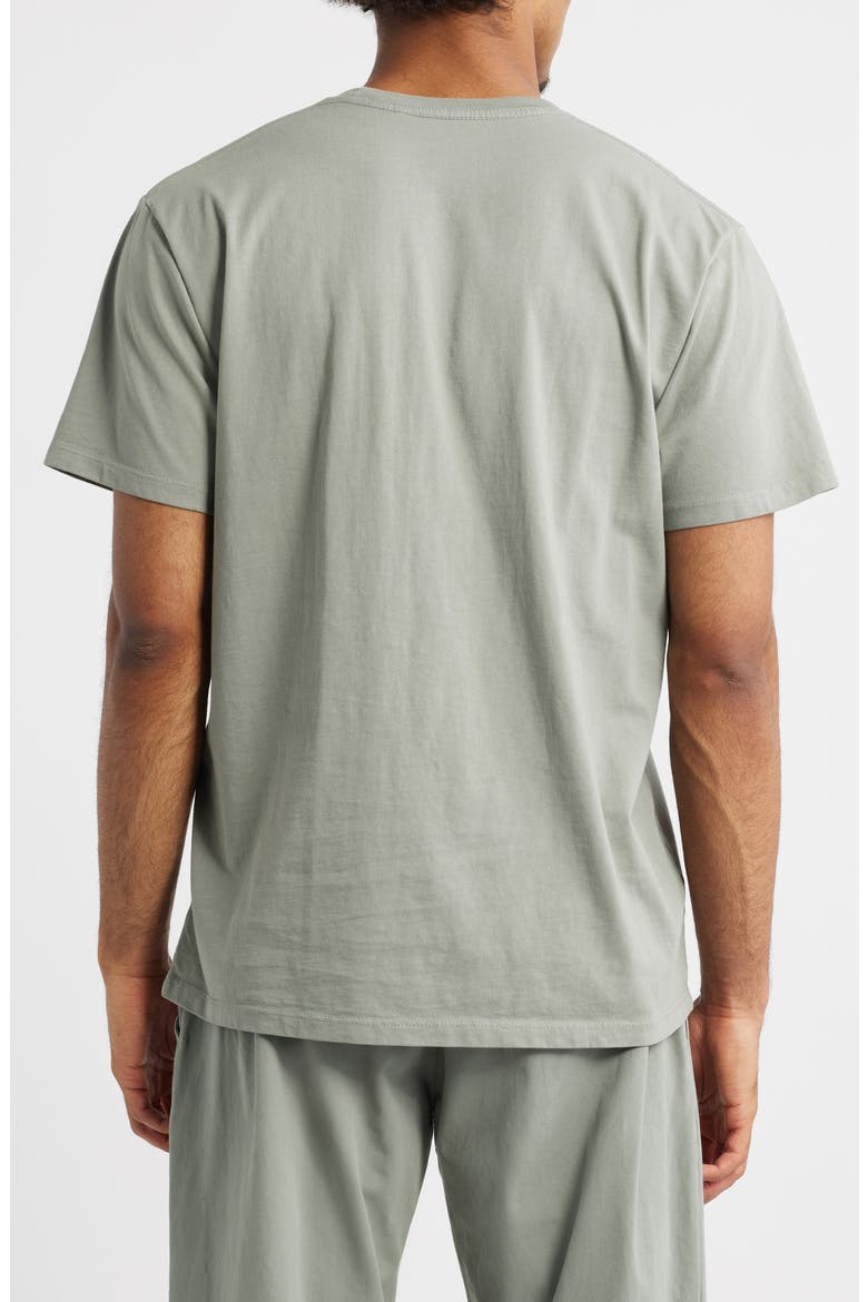 Standard Cotton T-Shirt, Alternate, color, CONCRETE