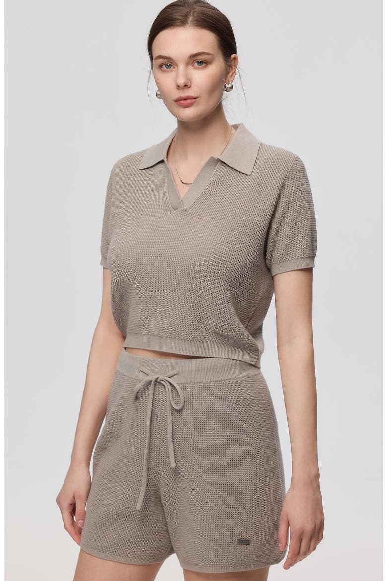 Noa Open Knit Shorts, Alternate, color, Light Gray
