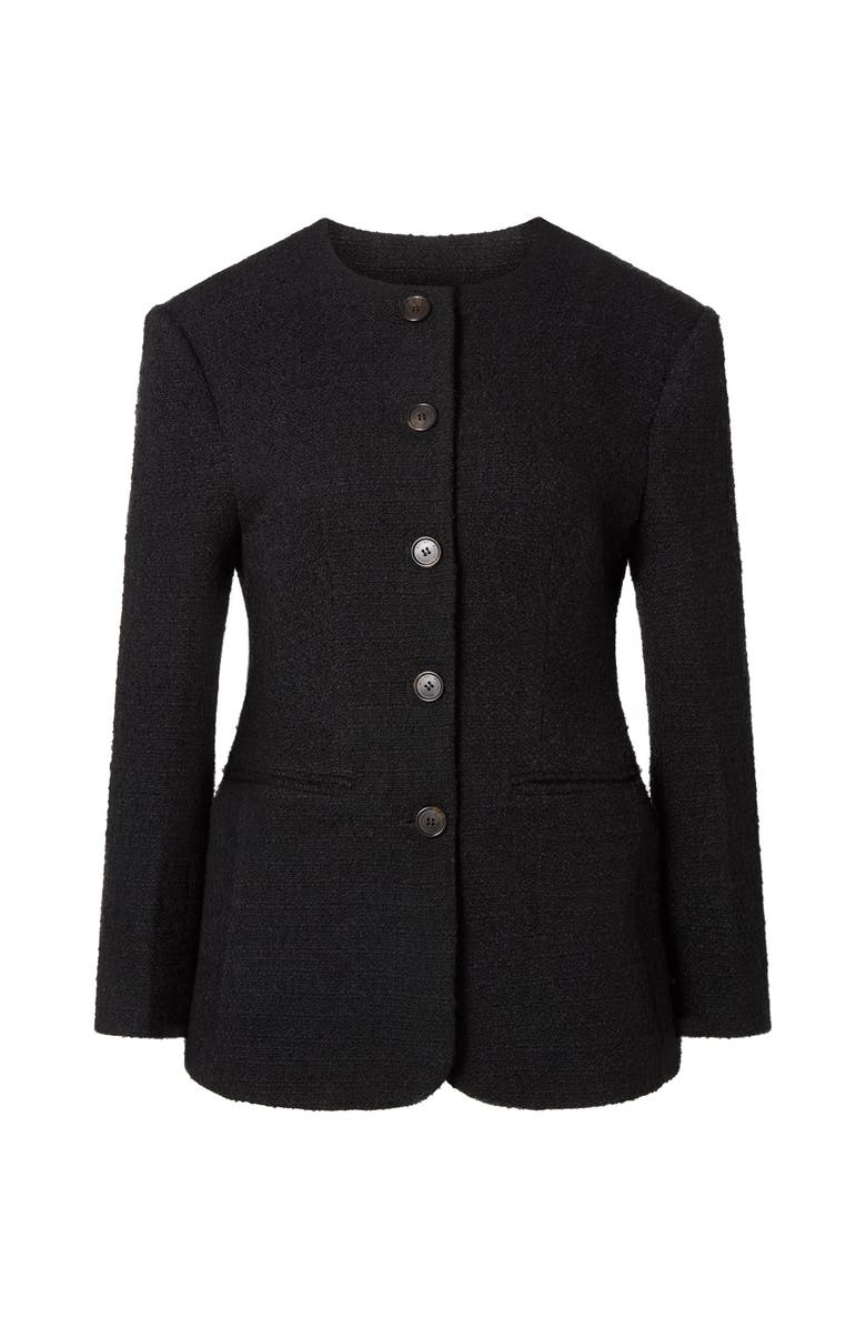 Malina Carol Fitted Round Neck Blazer, Alternate, color, Black