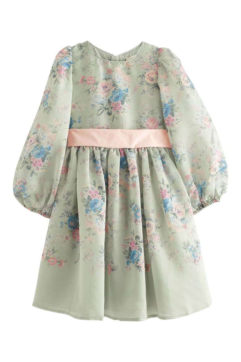 Kids' Romantic Rose Floral Long Sleeve Organza Dress, Main, color, DUCK EGG