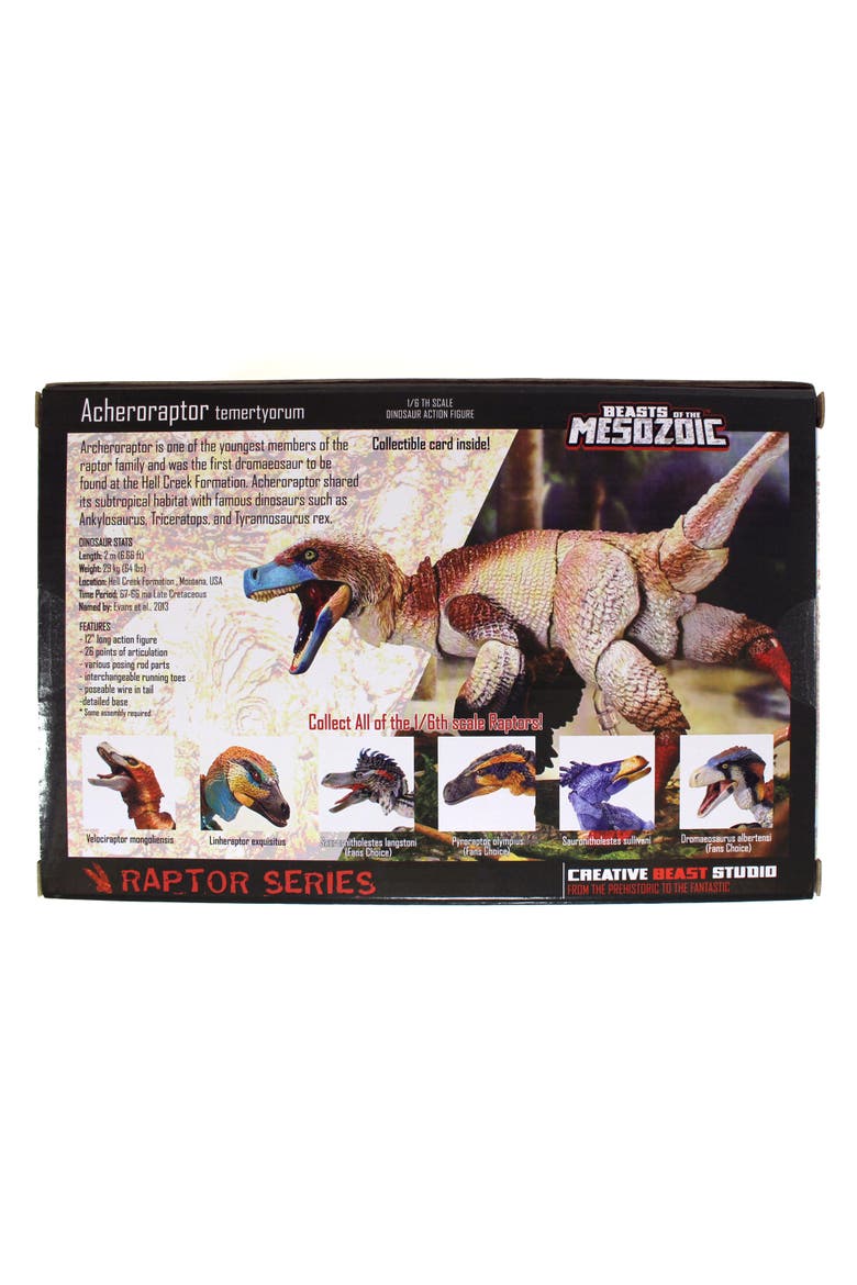 Acheroraptor Temertyorum, Alternate, color, Multicolored