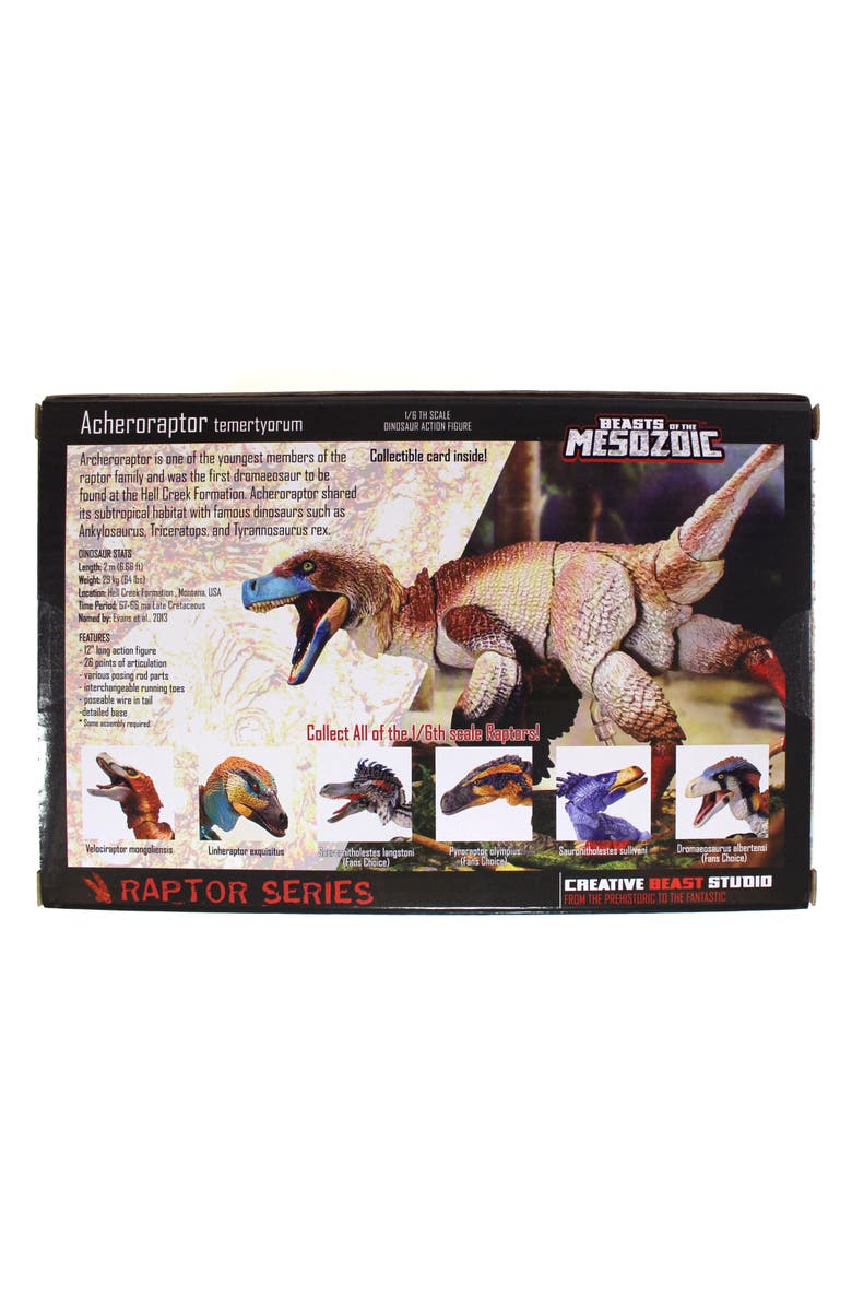 Beasts of the Mesozoic Acheroraptor Temertyorum, Alternate, color, Multicolored