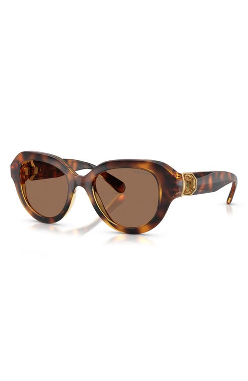 Swarovski 50mm Small Round Sunglasses In Brown