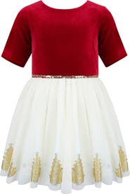 Zunie Kids' Stretch Velvet & Tulle Dress