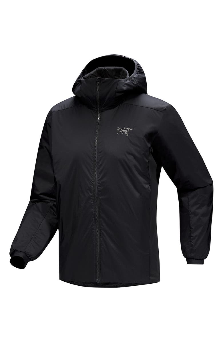 Arc'teryx Atom Hoodie, Alternate, color, 