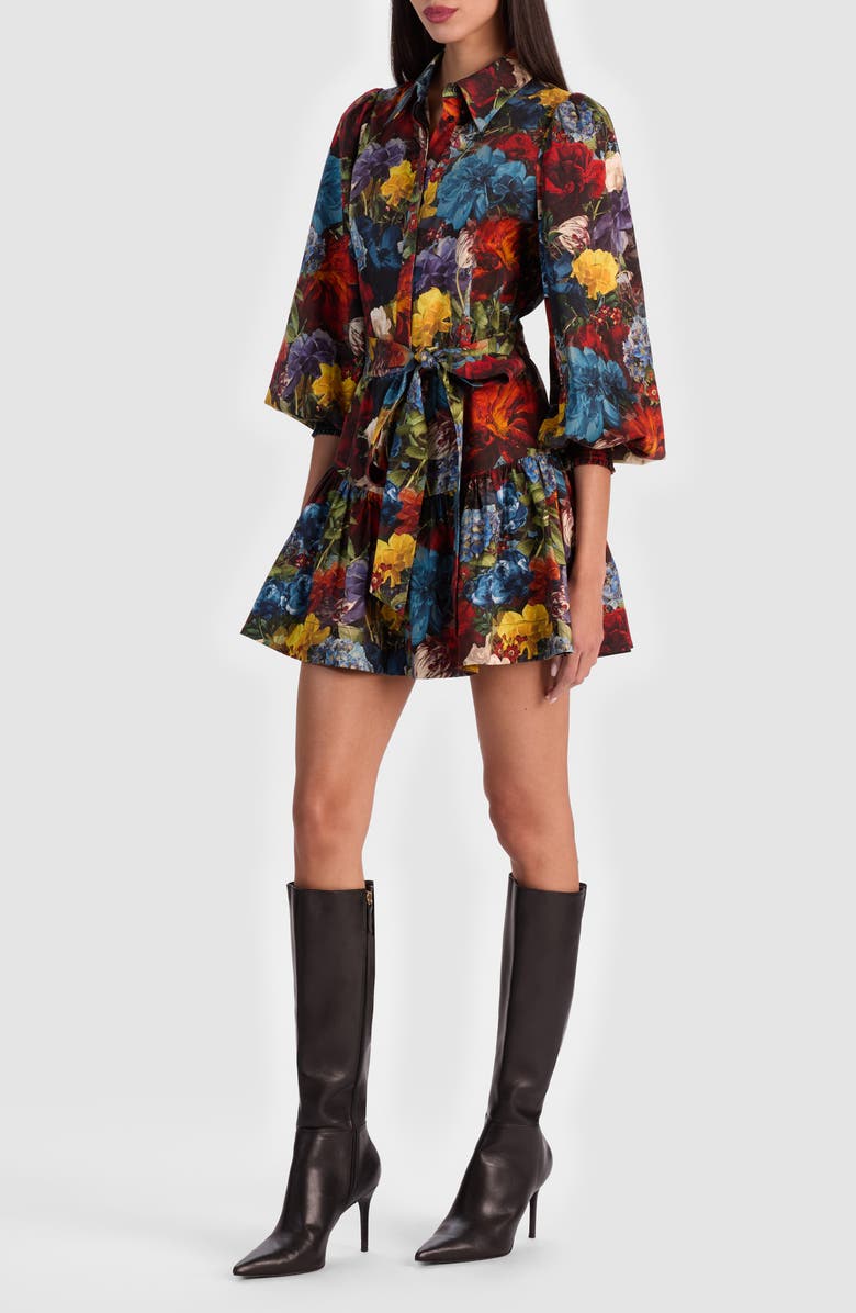 Alice + Olivia Lily Long Sleeve Floral Shirtdress, Alternate, color, Flourish