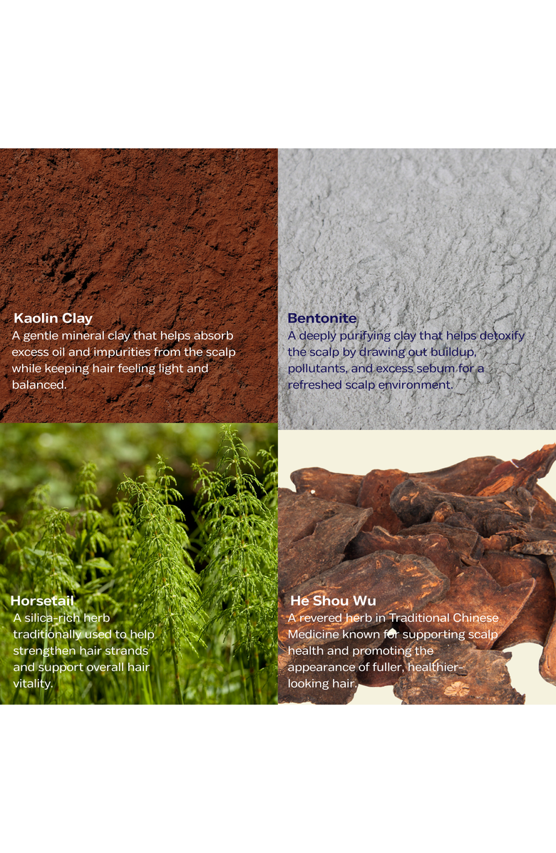 Luna Nectar Mars Sand Volumizing Adaptogenic Dry Shampoo, Alternate, color, Coral