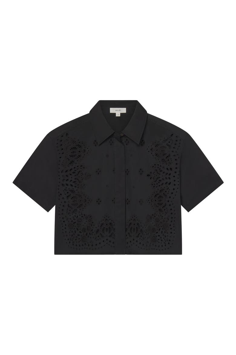 Jade Eyelet Boxy Crop Shirt, Alternate, color, BLACK
